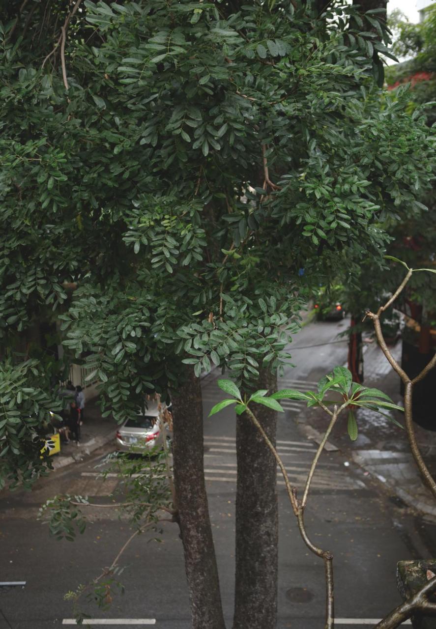 The First Ba Trieu Ha Noi Bed & Breakfast ฮานอย ภายนอก รูปภาพ